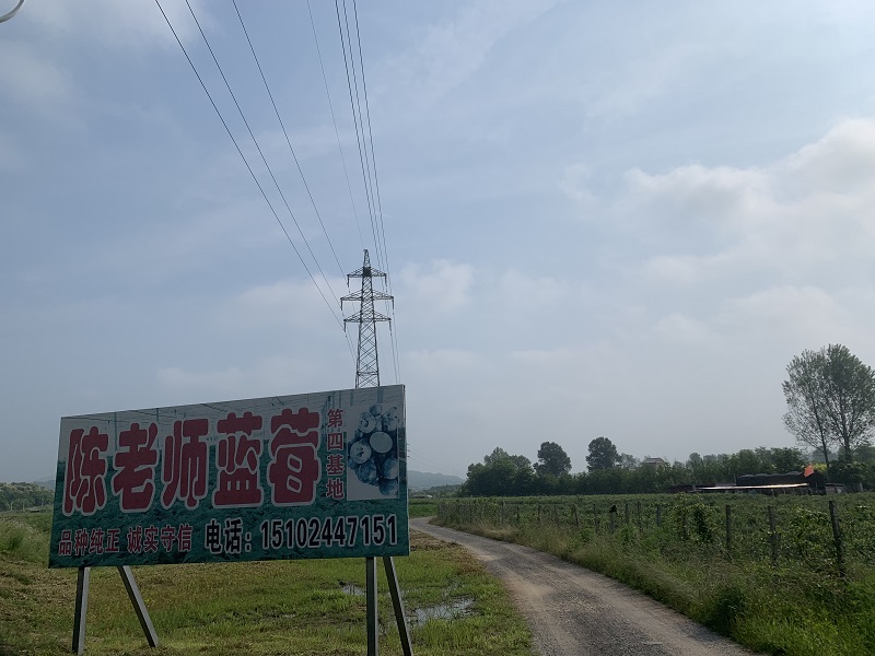 陳老師苗木基地